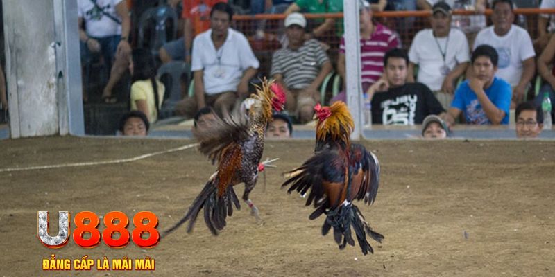j88bet đăng nhập mậu binh khuyến mãi