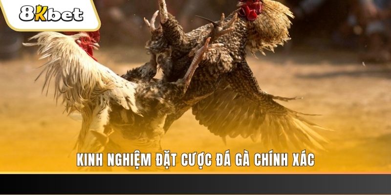 j88bet xổ số thứ bảy hàng tuần