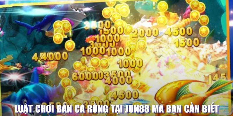 j88bet xổ số đài hà nội