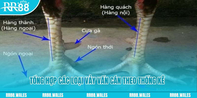 j88bet HB Điện Tử