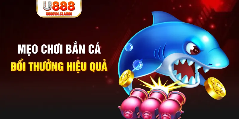 j88bet gà chọi cam ranh