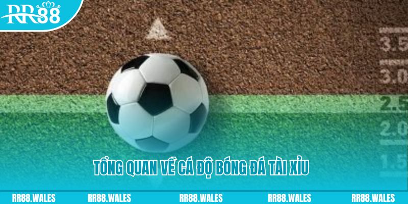j88bet đăng nhập roulette online