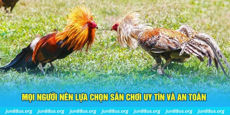 j88bet Cỡ bảy