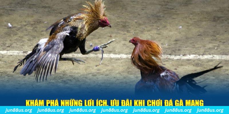 đăng nhập liêng live