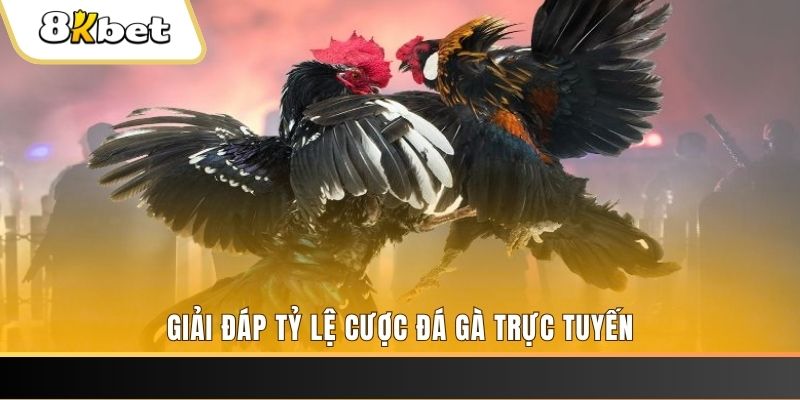 j88bet ban ca online
