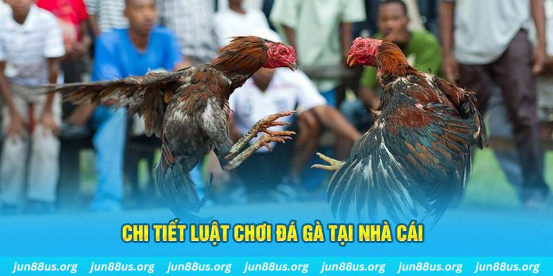 j88bet đá gà thomo