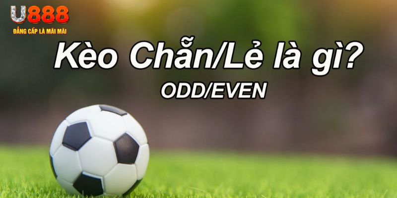 j88bet đăng nhập sòng bạc 2024
