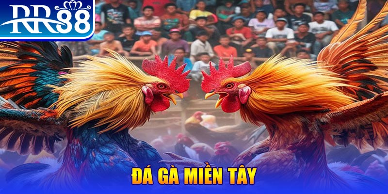 j88bet người chia bài trong casino gọi là gì