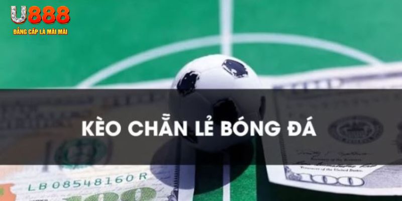 j88bet gà chọi c1.tv