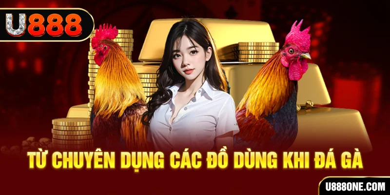 j88bet đá gà trực tiếp campuchia